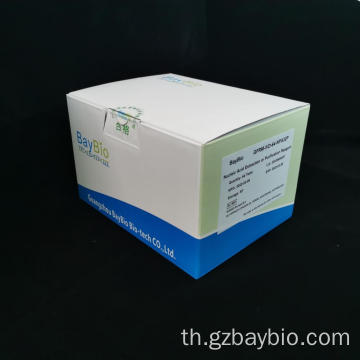 ชุดรีเอเจนต์กรดนิวคลีอิก 96T RNA